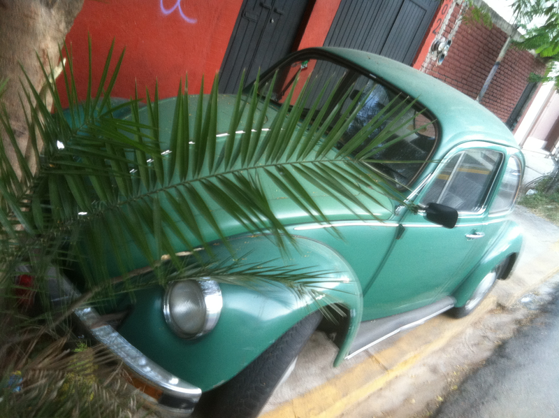 Illustration for article titled An Incomplete Survey of VWs in Oaxaca, Mexico